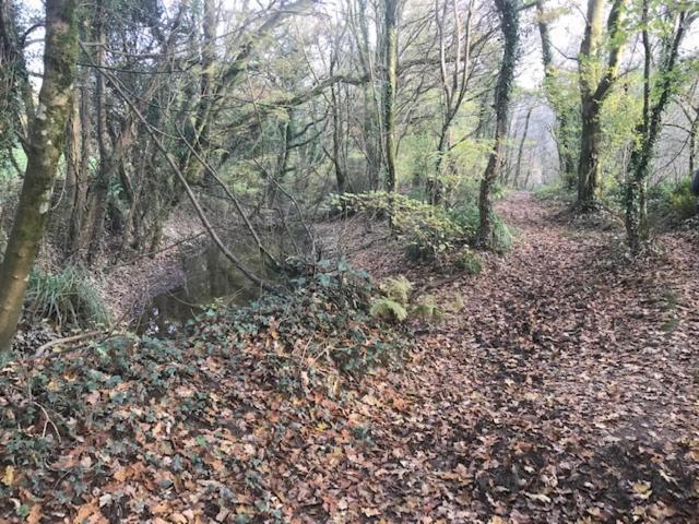 Riverside Stay Gunnislake Exterior foto